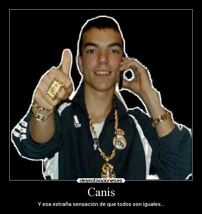 Canis - Y esa extraña sensación de que todos son iguales...