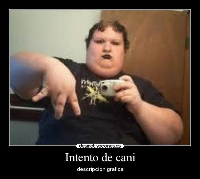 Intento de cani - descripcion grafica