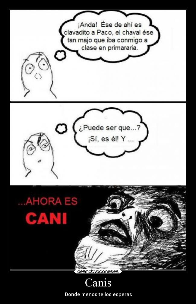 Canis - 