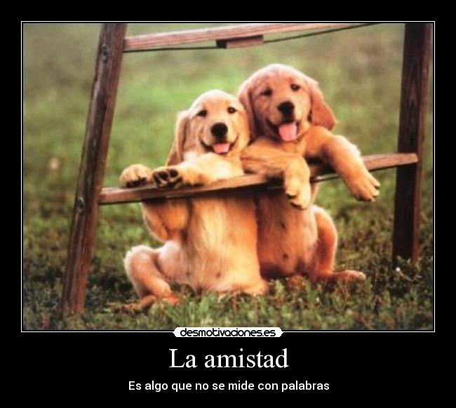 La amistad - Es algo que no se mide con palabras
