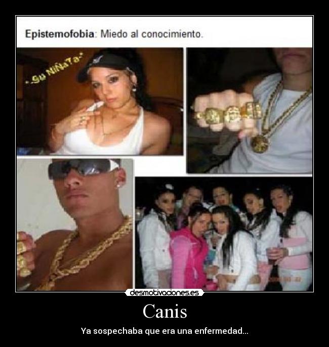 Canis - Ya sospechaba que era una enfermedad...
