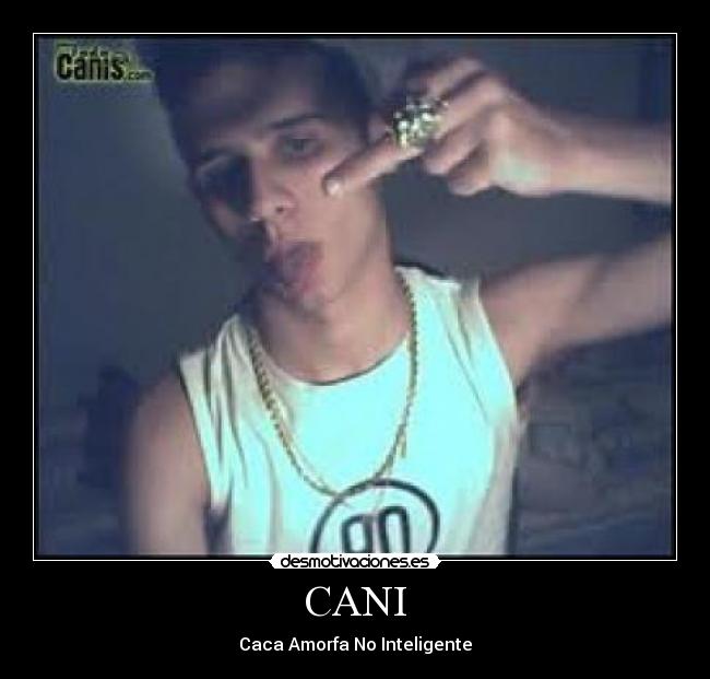 CANI - Caca Amorfa No Inteligente