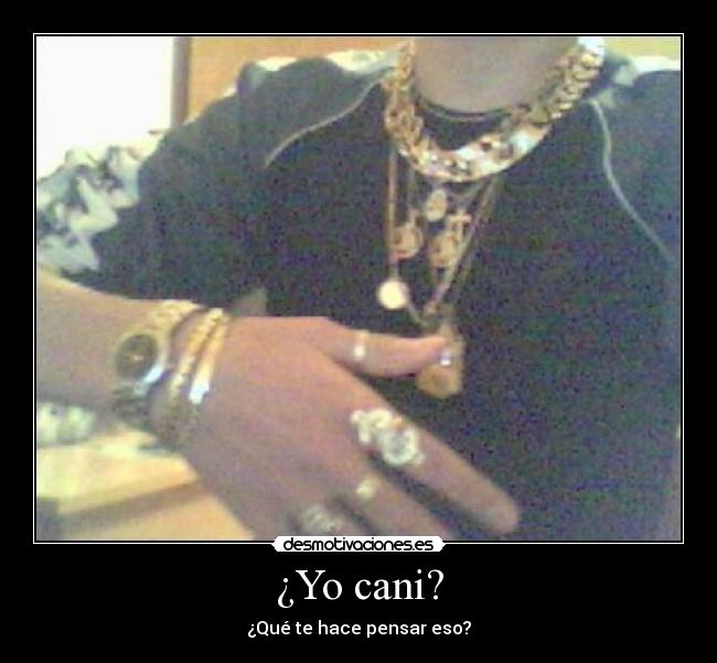 ¿Yo cani? - ¿Qué te hace pensar eso?
