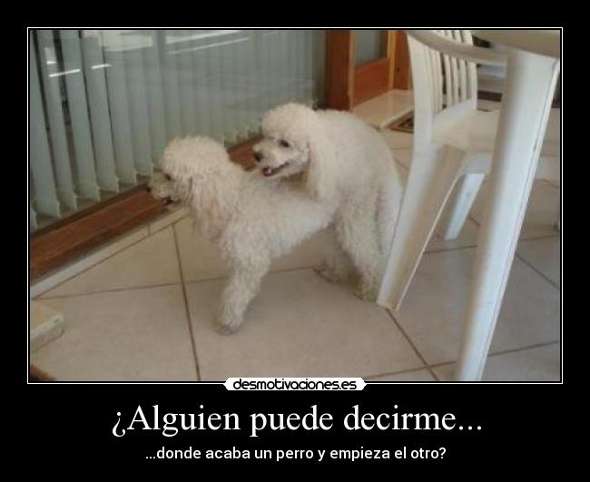 ¿Alguien puede decirme... - 