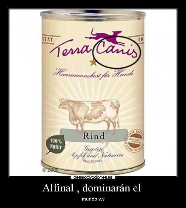 Alfinal , dominarán el -