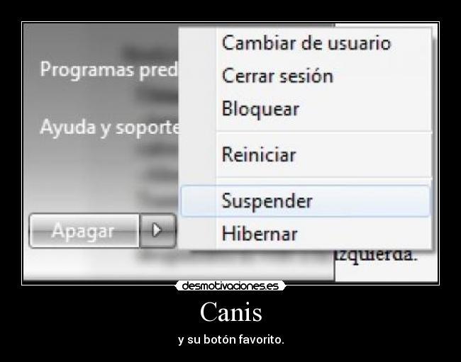 Canis - y su botón favorito.