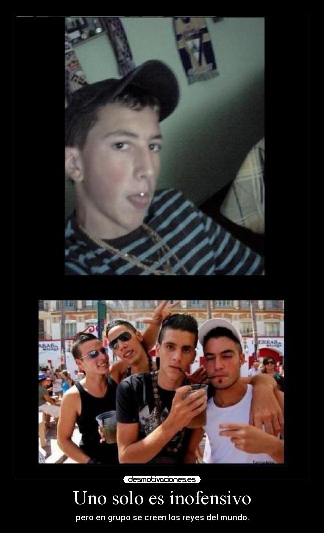 Uno solo es inofensivo - pero en grupo se creen los reyes del mundo.