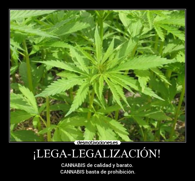 ¡LEGA-LEGALIZACIÓN!  - 