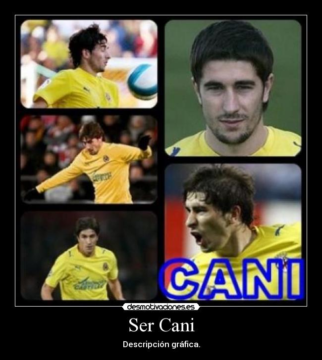 Ser Cani - Descripción gráfica.