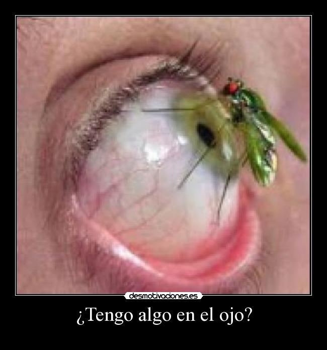 carteles ojo desmotivaciones