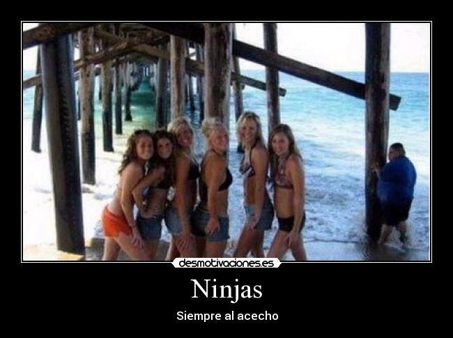 Ninjas - Siempre al acecho