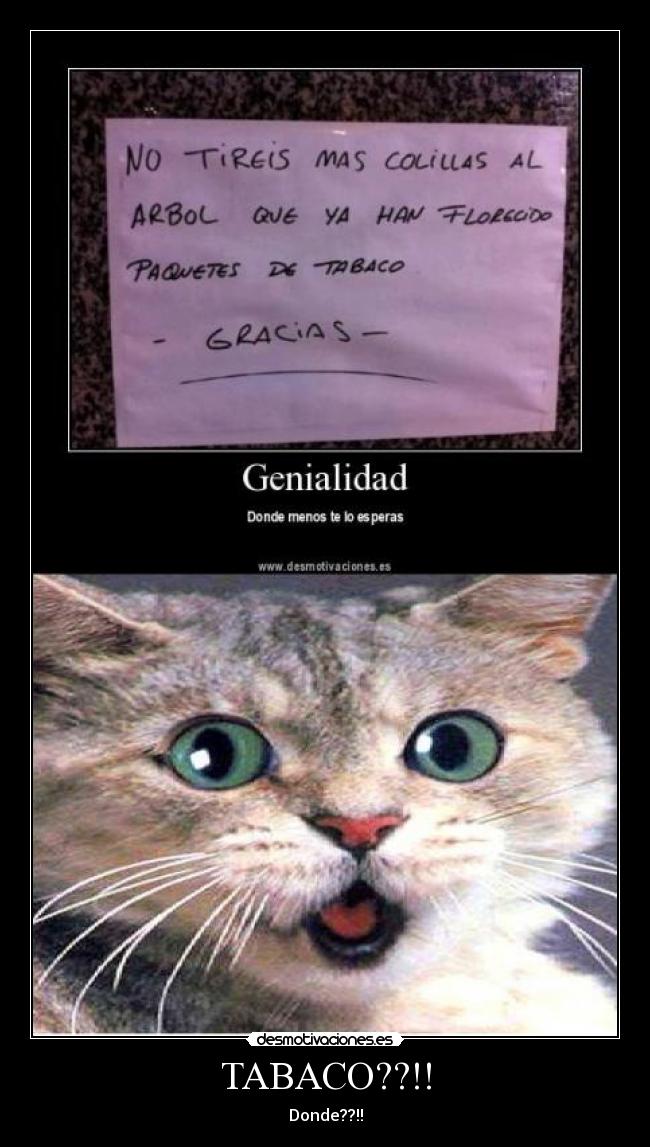 TABACO??!! - Donde??!!
