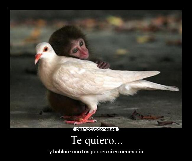 Te quiero... -