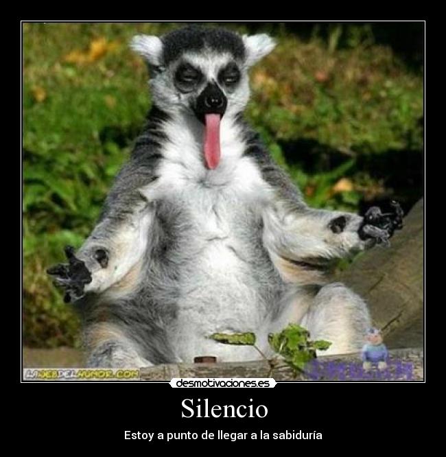 Silencio - Estoy a punto de llegar a la sabiduría