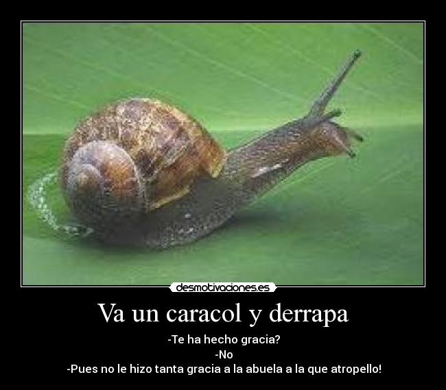 Va un caracol y derrapa - -Te ha hecho gracia?
-No
-Pues no le hizo tanta gracia a la abuela a la que atropello!