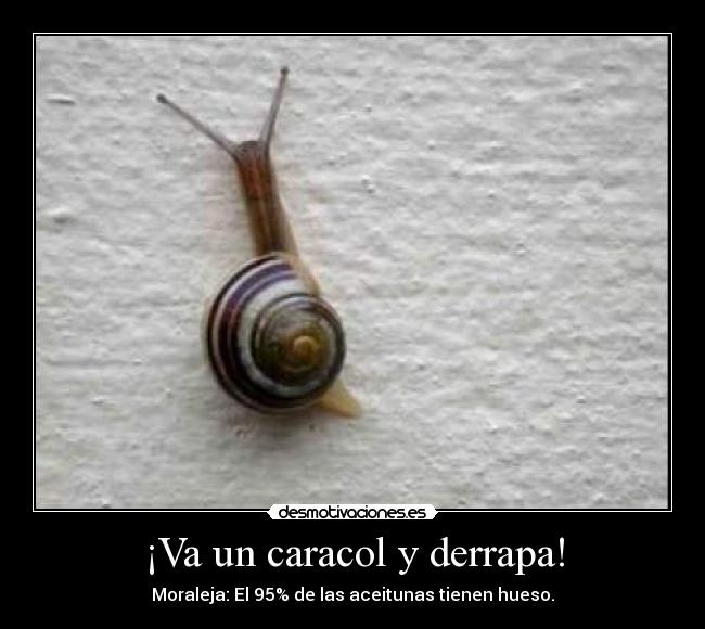 ¡Va un caracol y derrapa! -