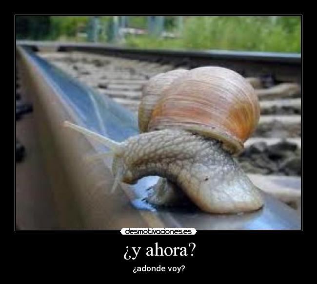 ¿y ahora? - ¿adonde voy?