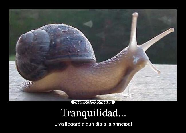 carteles para que sirven las etiquetas desmotivaciones