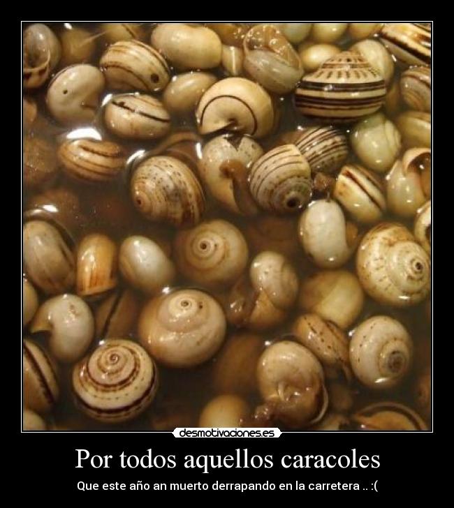 Por todos aquellos caracoles - 