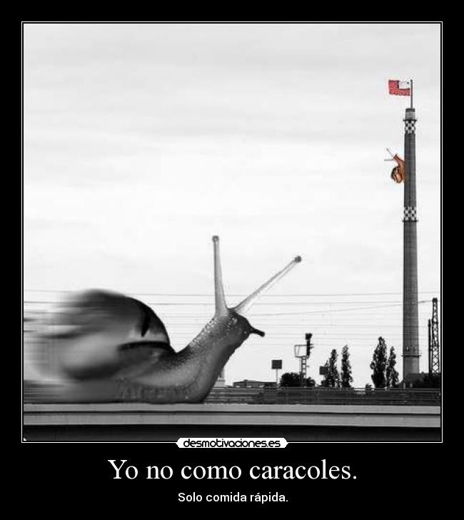Yo no como caracoles. -