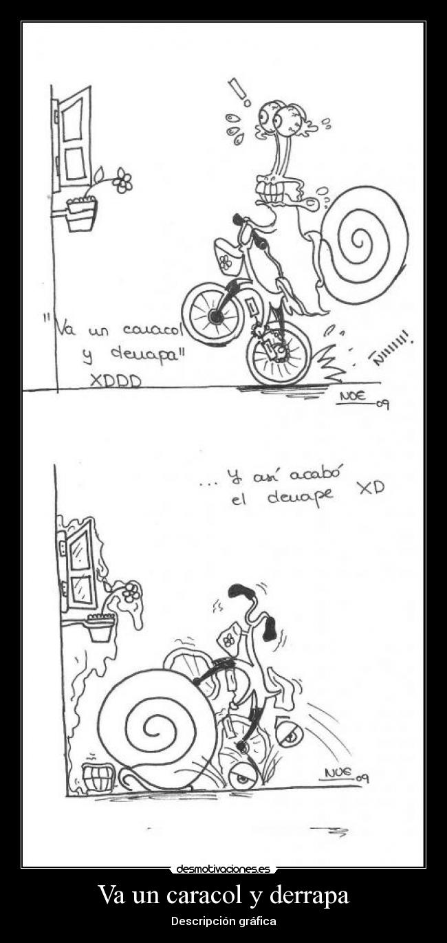 carteles caracol derrape desmotivaciones