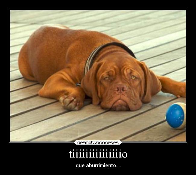 tiiiiiiiiiiiiiiio - que aburrimiento....