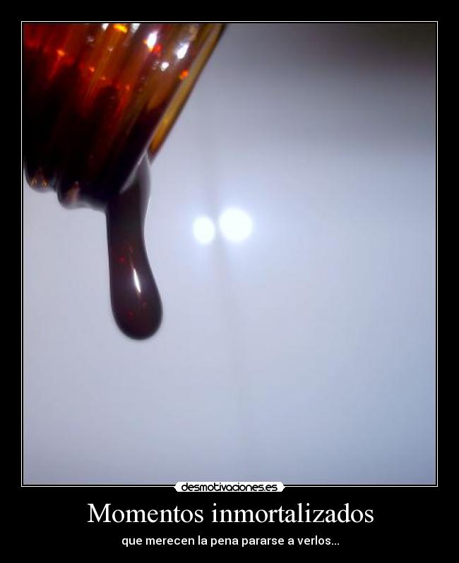 Momentos inmortalizados - que merecen la pena pararse a verlos...