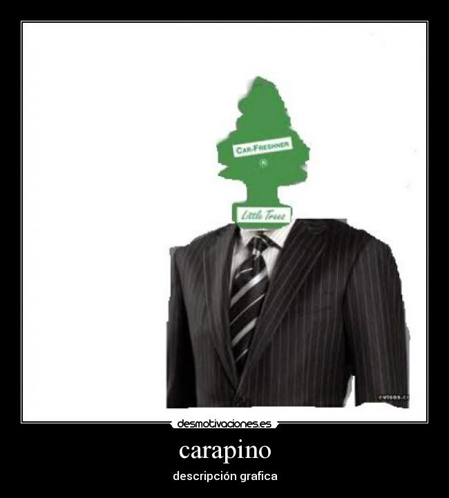 carapino - descripción grafica