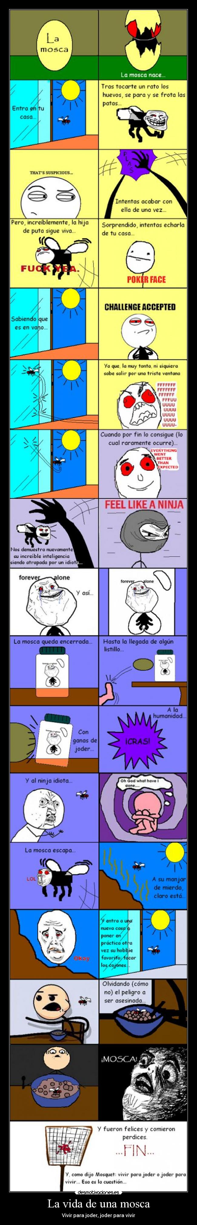 La vida de una mosca - Vivir para joder, joder para vivir