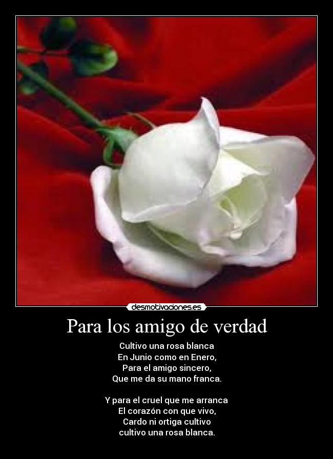 Para los amigo de verdad - 