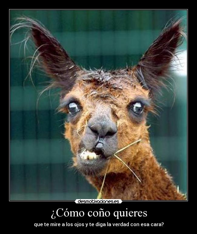 carteles sabeomkame sabeomkameoffline walt_k walt_koffline trescientos trescientosoffline mario-01 mario-01o desmotivaciones