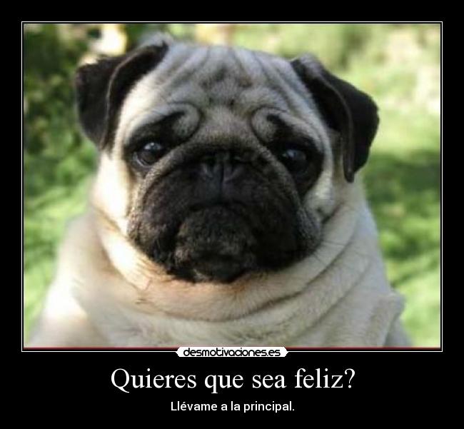 carteles carlino principal feliz desmotivaciones