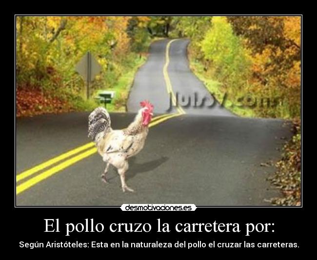 El pollo cruzo la carretera por: -
