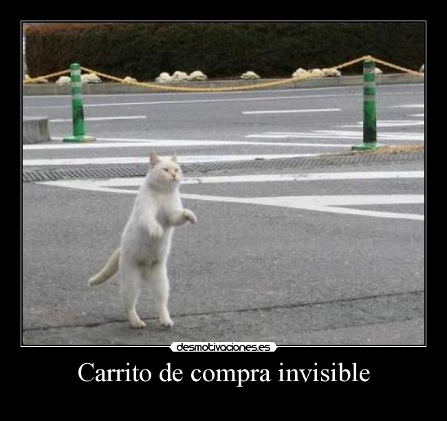 Carrito de compra invisible -