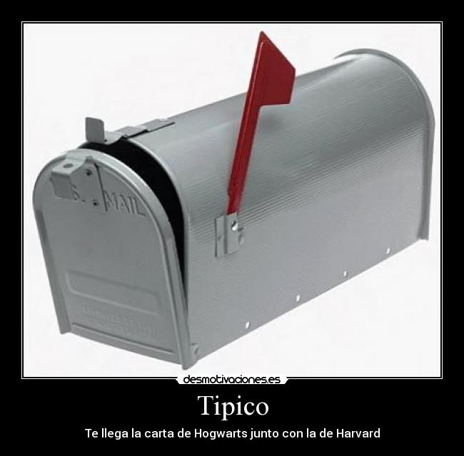 Tipico - 