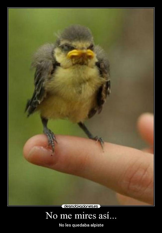 No me mires así... -