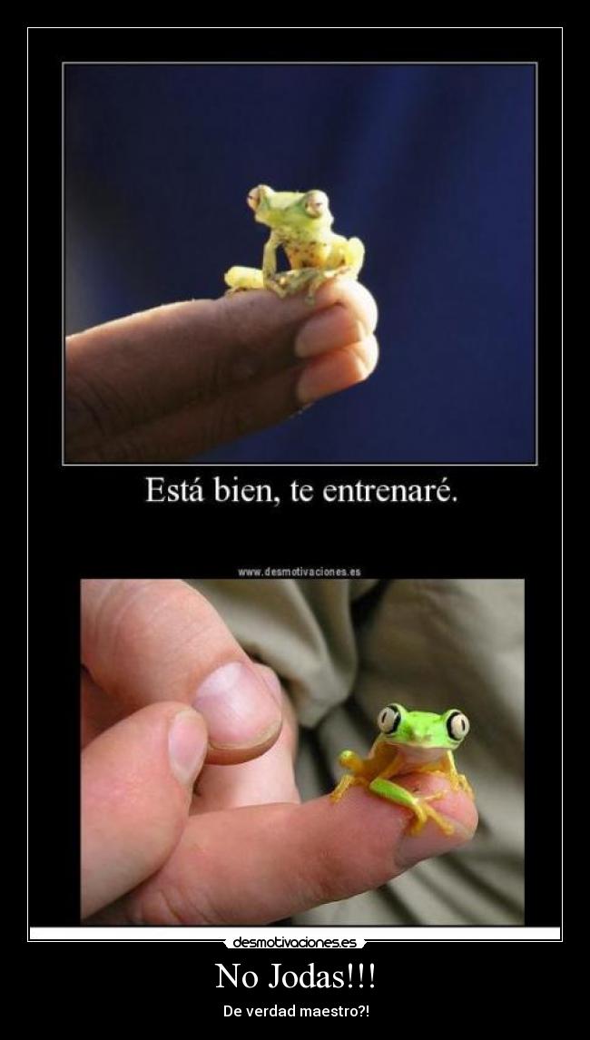 No Jodas!!! - 
