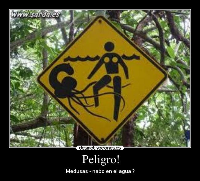 Peligro! - Medusas - nabo en el agua ?
