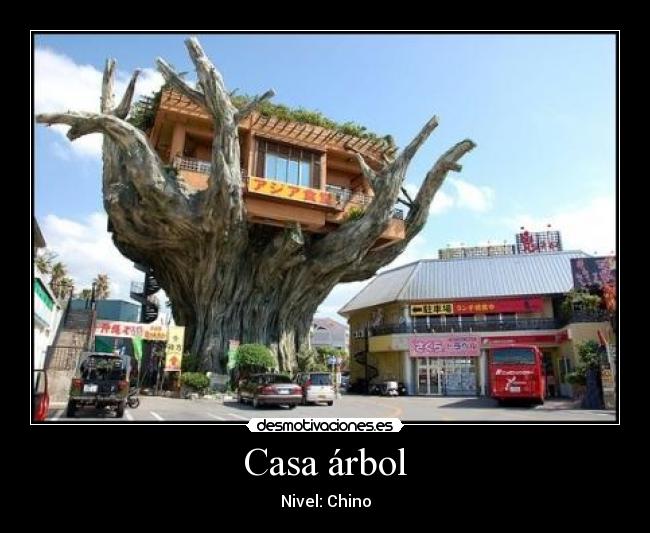 Casa árbol -