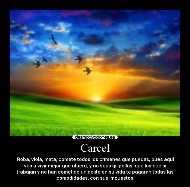 Carcel - Roba, viola, mata, comete todos los crímenes que puedas, pues aqui
vas a vivir mejor que afuera, y no seas gilipollas, que los que si
trabajan y no han cometido un delito en su vida te pagaran todas las
comodidades, con sus impuestos.