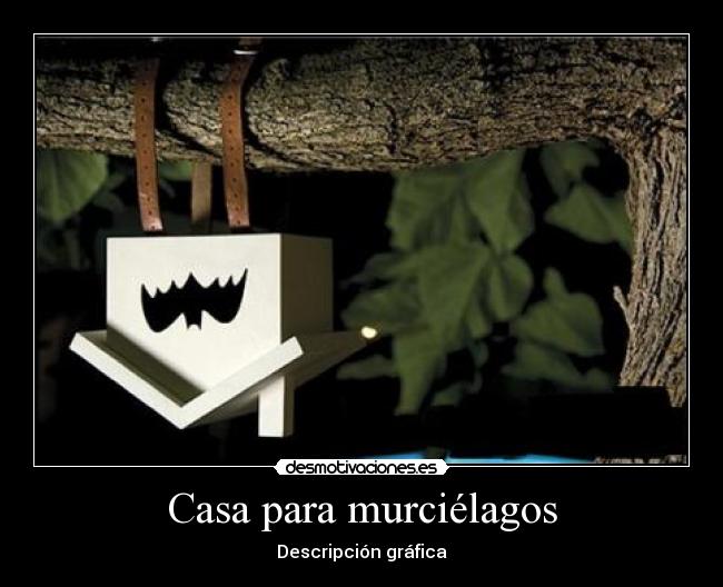 Casa para murciélagos - Descripción gráfica