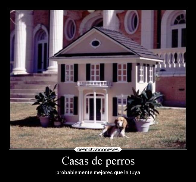 Casas de perros - 