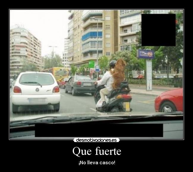 Que fuerte - 