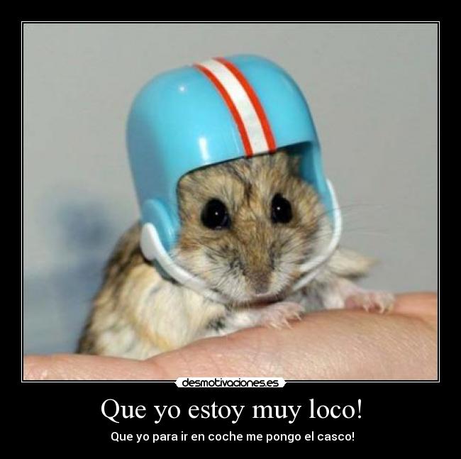 Que yo estoy muy loco! -