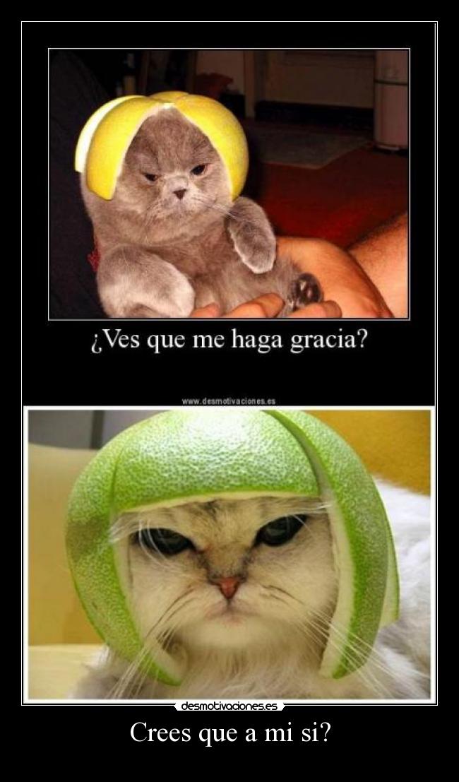 Crees que a mi si? -