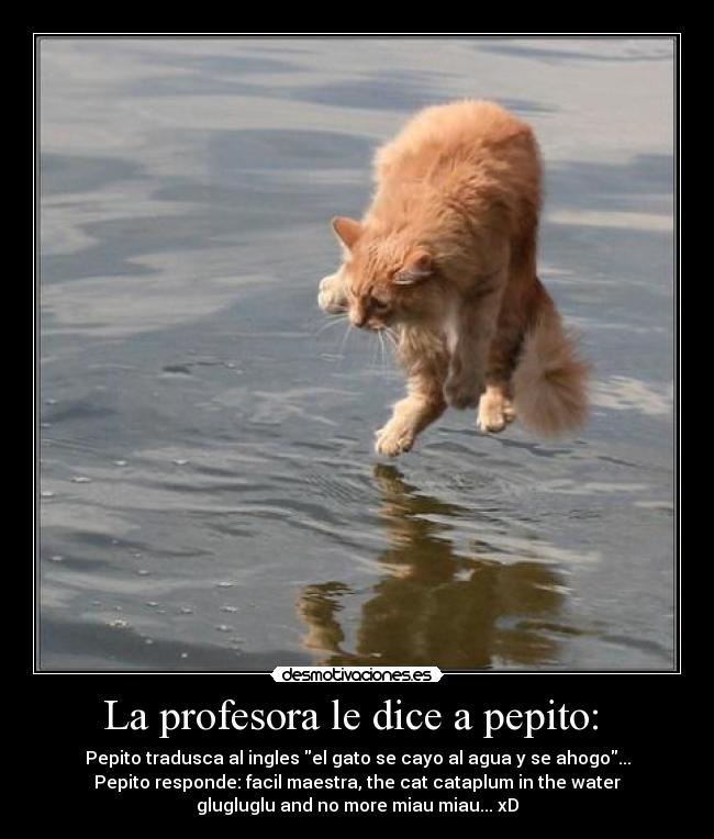 La profesora le dice a pepito: - Pepito tradusca al ingles el gato se cayo al agua y se ahogo...
Pepito responde: facil maestra, the cat cataplum in the water
glugluglu and no more miau miau... xD