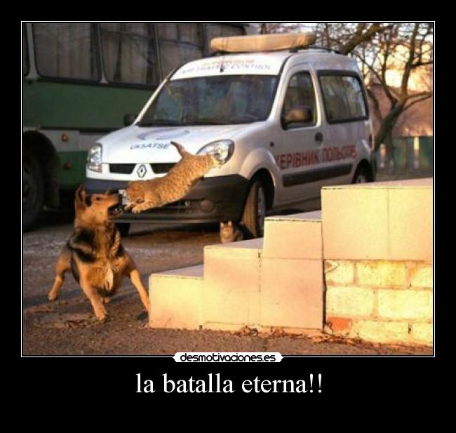 la batalla eterna!! -