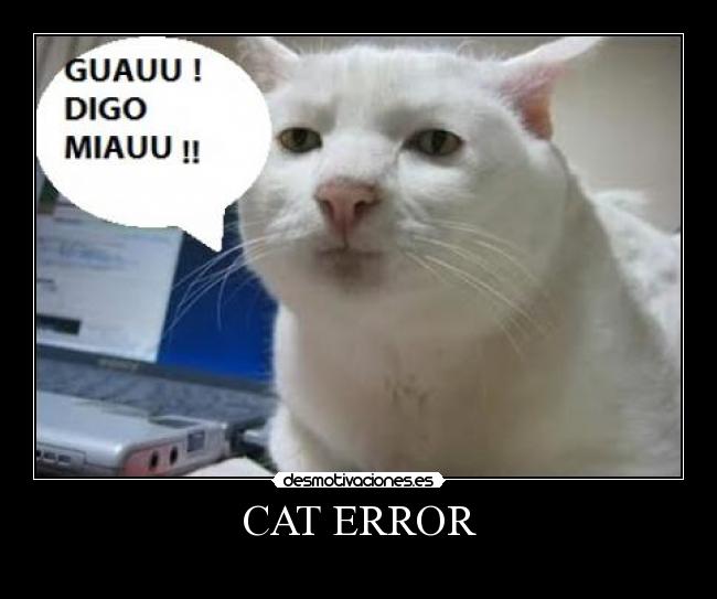 carteles cat error desmotivaciones