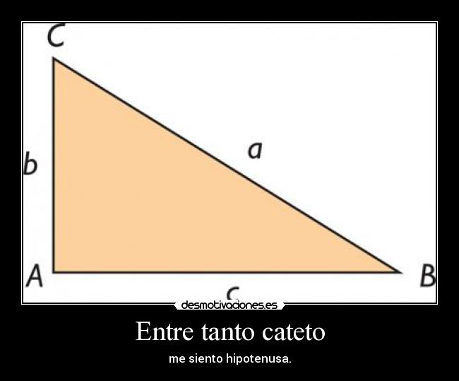 Entre tanto cateto - 