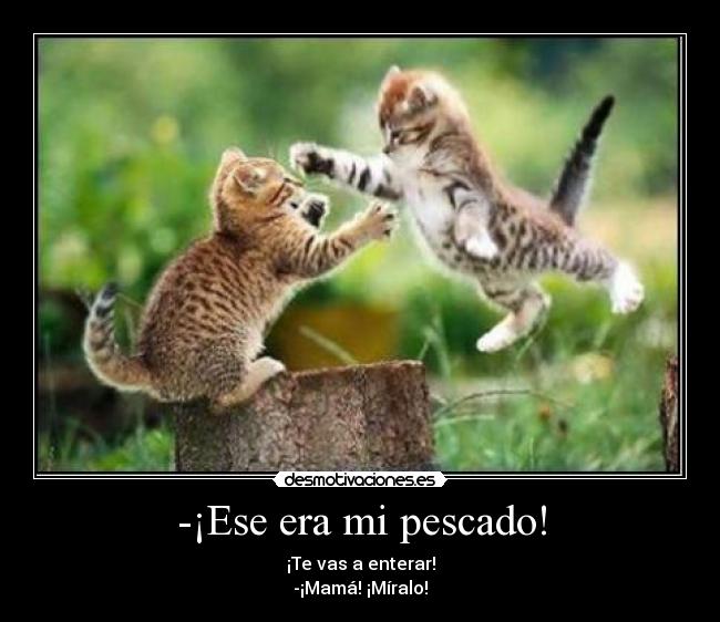 -¡Ese era mi pescado! -